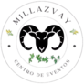 millazvay.cl